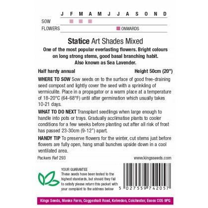 Statice Art Shades Mixed