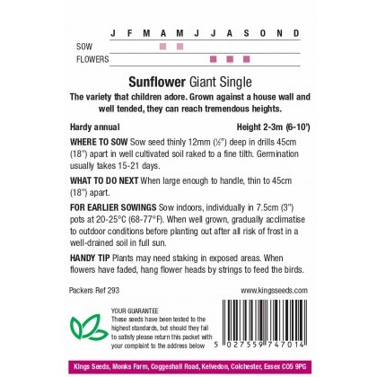 Sunflower Giant Single