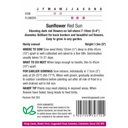 Sunflower Red Sun