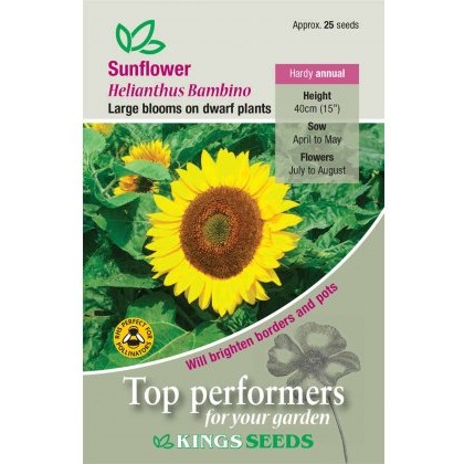 Sunflower Bambino
