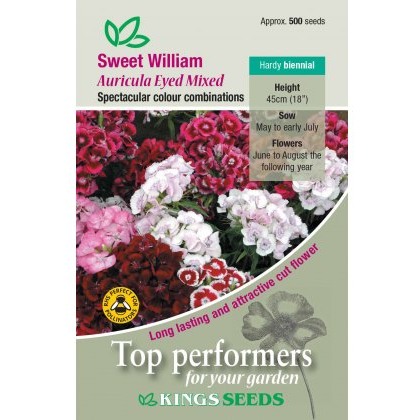 Sweet Wiliam Auricula-Eyed Mixed