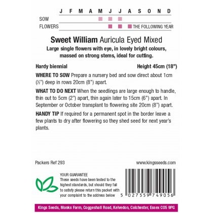 Sweet Wiliam Auricula-Eyed Mixed