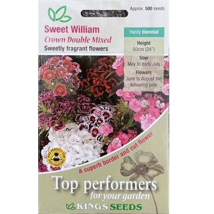 Sweet William Crown Double Mixed