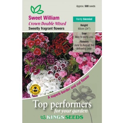 Sweet William Crown Double Mixed