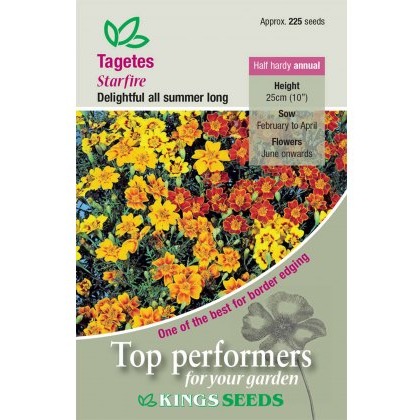 Tagetes Starfire