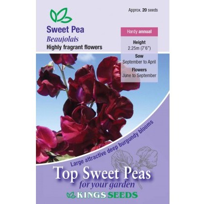 Sweet Pea Beaujolais