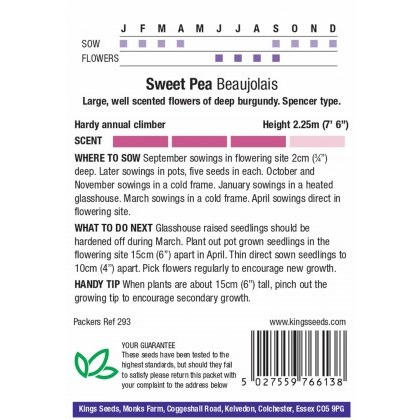 Sweet Pea Beaujolais