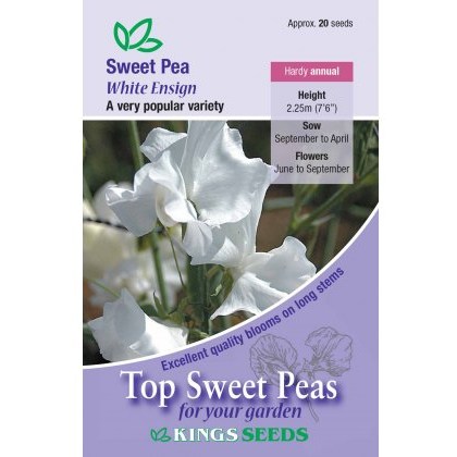 Sweet Pea White Ensign