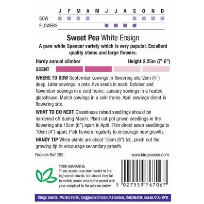 Sweet Pea White Ensign