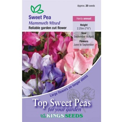 Sweet Pea Mammoth Mix