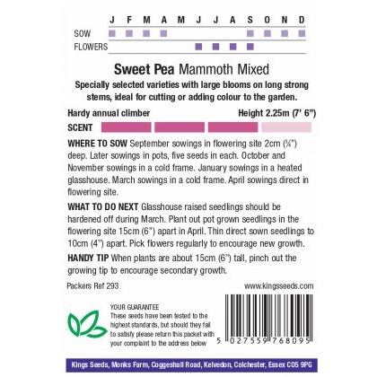 Sweet Pea Mammoth Mix