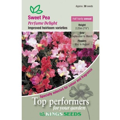 Sweet Pea Perfume Delight