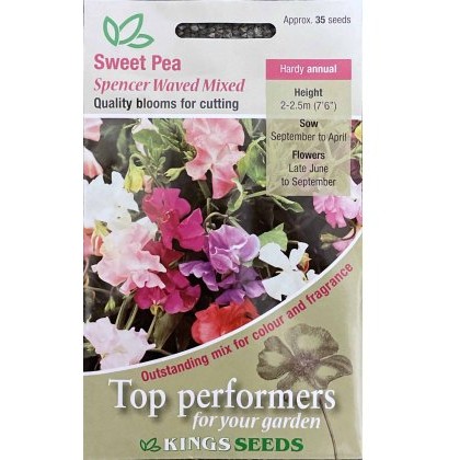 Sweet Pea Spencer Waved Mixed