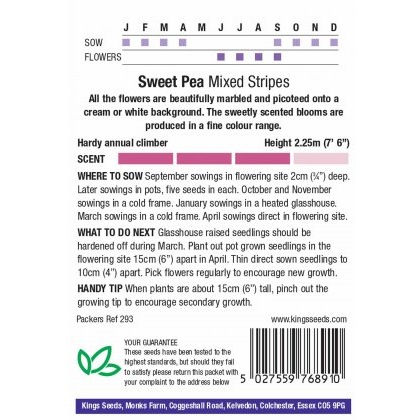 Sweet Pea Mixed Stripes