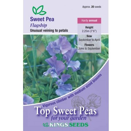 Sweet Pea Flagship