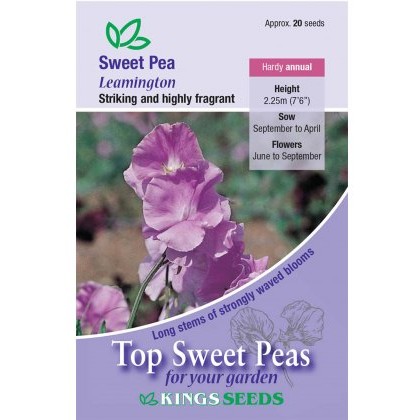 Sweet Pea Leamington