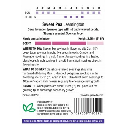 Sweet Pea Leamington