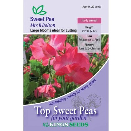 Sweet Pea Mrs R Bolton