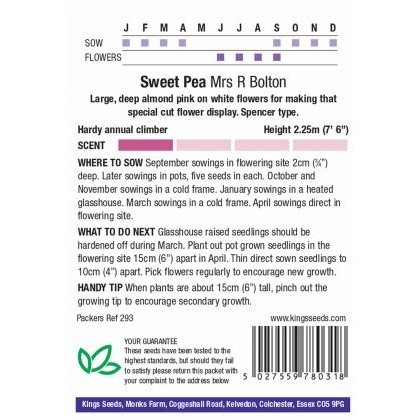 Sweet Pea Mrs R Bolton