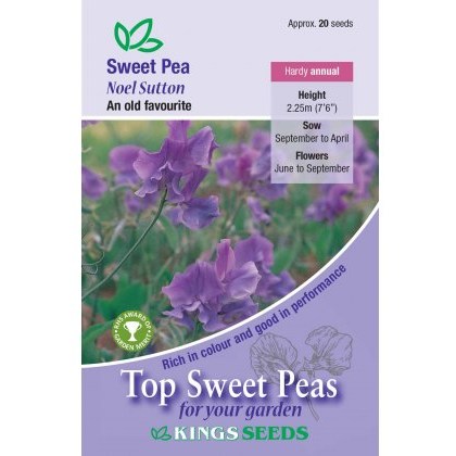 Sweet Pea Noel Sutton