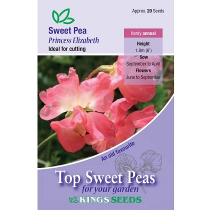 Sweet Pea Princess Elizabeth