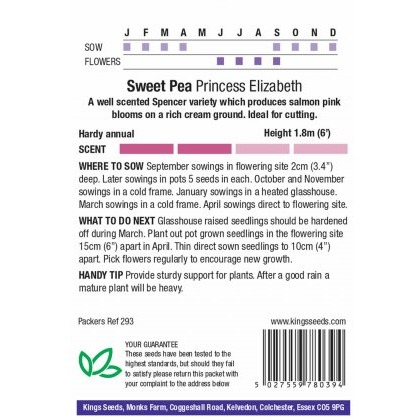Sweet Pea Princess Elizabeth