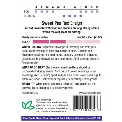 Sweet Pea Red Ensign