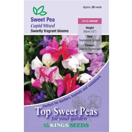 Sweet Pea Cupid Mixed