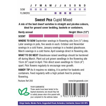 Sweet Pea Cupid Mixed