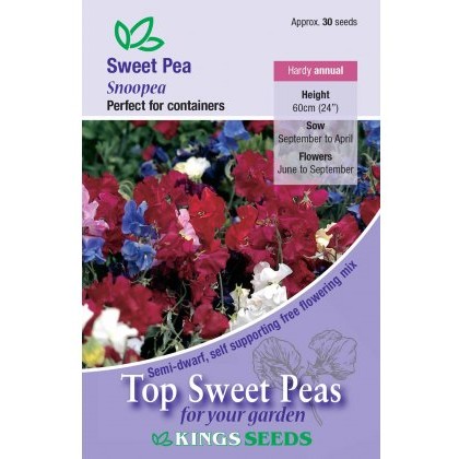 Sweet Pea Snoopea