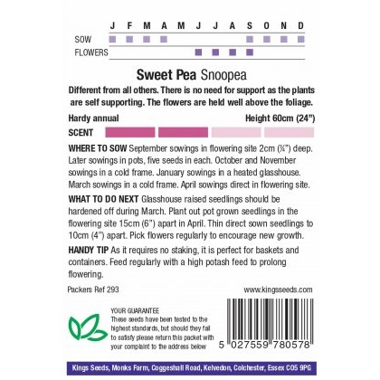 Sweet Pea Snoopea