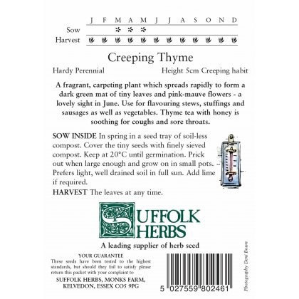 Thyme Creeping