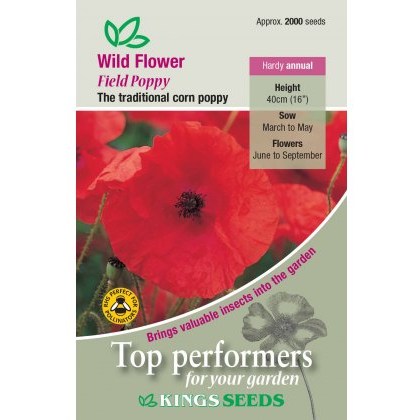 Wild Flower Poppy Field Wild Flower Poppy Field
