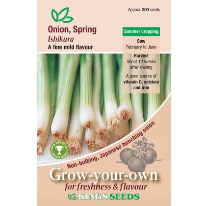 Onion Ishikura