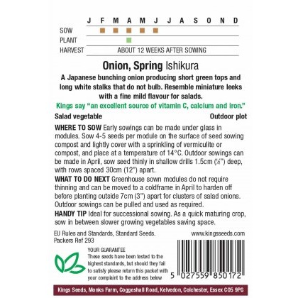Onion Ishikura