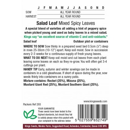 Salad Leaf Mixed Spicy Leaf