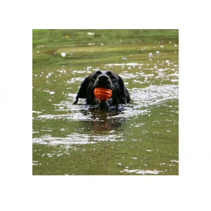 ANCOL Tough Ribbed Ball