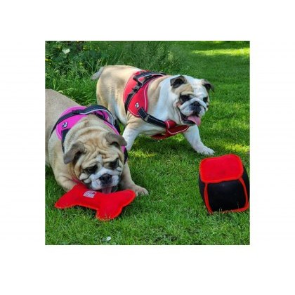 ANCOL Extreme Floating - Red or Black