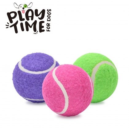 ANCOL Net of 6 Tennis Balls