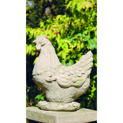 Poultry