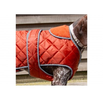 ANCOL Heritage Terracotta Quilted Coat XS