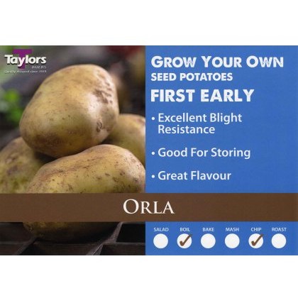SEED POTATO - FIRST EARLY Orla 2kg SEED POTATO - FIRST EARLY Orla 2kg