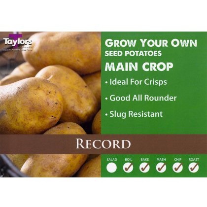SEED POTATO - MAIN CROP Record 2kg SEED POTATO - MAIN CROP Record 2kg