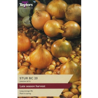 ONION Sturon BC 20 ONION Sturon BC 20