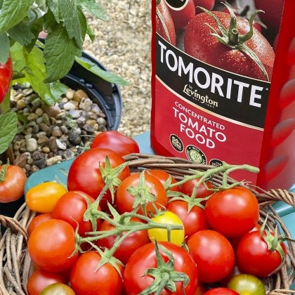 LEVINGTON® Tomorite® Concentrated Tomato Food 1.2L LEVINGTON® Tomorite® Concentrated Tomato Food 1.2L