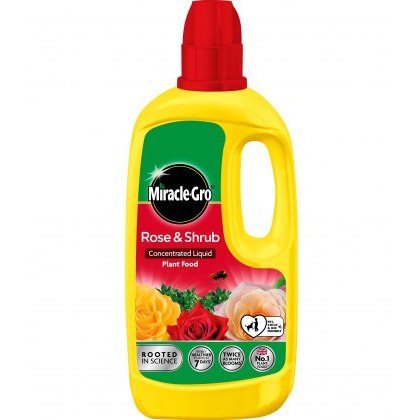 MIRACLE-GRO® Rose & Shrub Concentrate 800ml MIRACLE-GRO® Rose & Shrub Concentrate 800ml