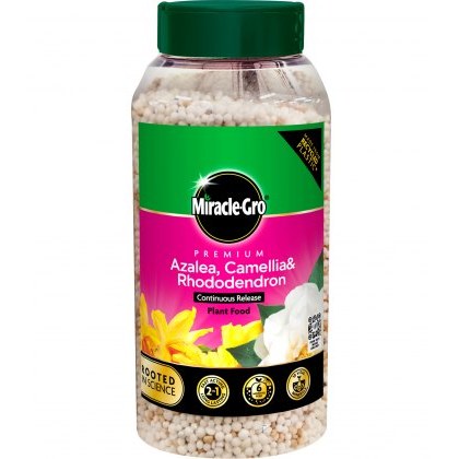 MIRACLE-GRO® Premium Azalea, Camellia & Rhododendron Continuous Release Plant Food 900g MIRACLE-GRO® Premium Azalea, Camellia & Rhododendron Continuous Release Plant Food 900g