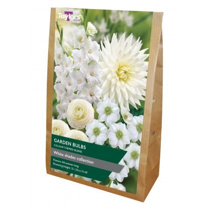 TAYLORS White Shades Collection Value Bags
