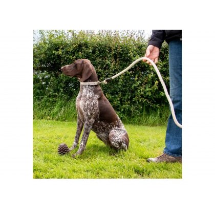 ANCOL Heritage Cotton Rope Lead Natural 150x1.5cm