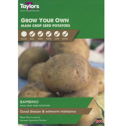 SEED POTATO - Bambino - Taster Pack SEED POTATO - Bambino - Taster Pack